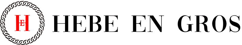Hebe Fashion En Gros, client Agenție SEO PRO